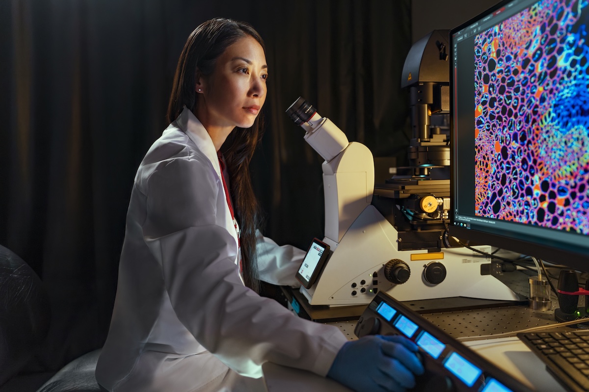 Researcher works at a laboratory microscope, viewing cellular images on a computer screen.